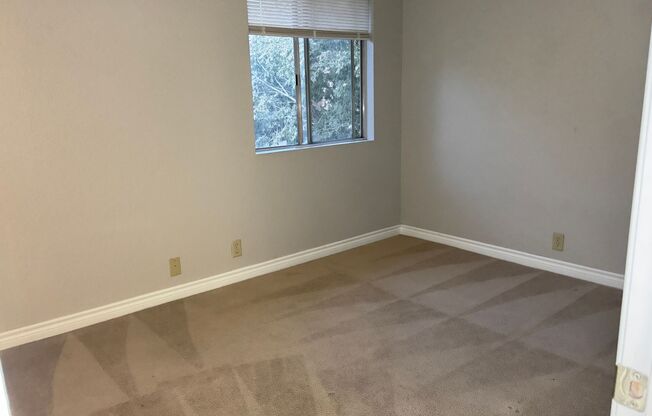 2 beds, 1 bath, $1,250