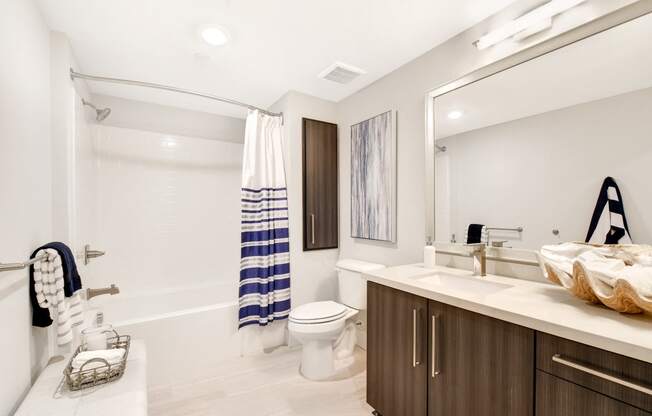 a bathroom with a shower toilet and sink and a mirror