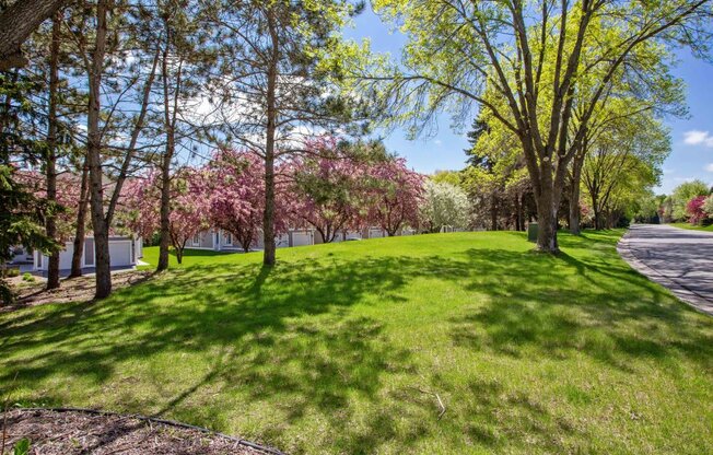 a park with green grass and trees and a road