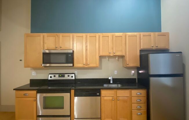 1 bed, 1 bath, 787 sqft, $1,445, Unit 1517 S. Theresa Ave. #204