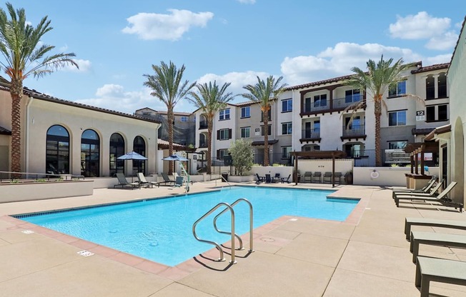 Swimming pool with palm trees at Arrive Temecula