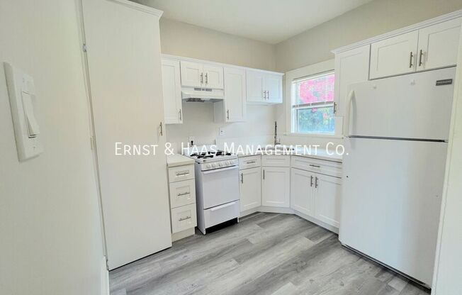425 DAISY AVE