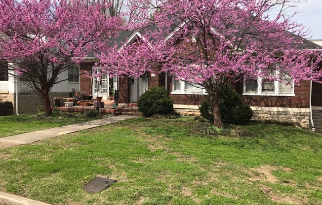 Rent includes utilities 3104a Belwood St, Nashville, TN 37203