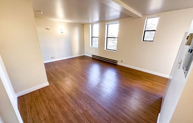 Studio, 1 bath, 460 sqft, $1,395, Unit 413
