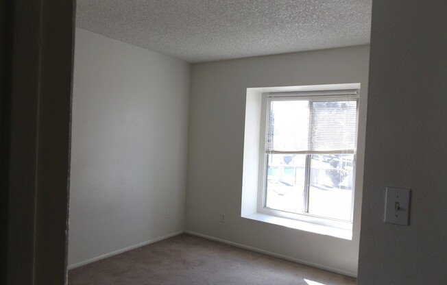 2 beds, 1 bath, $1,300