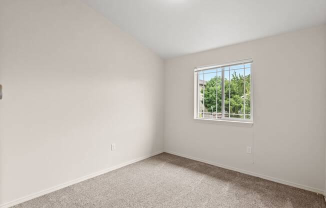 an empty room with carpet and a window