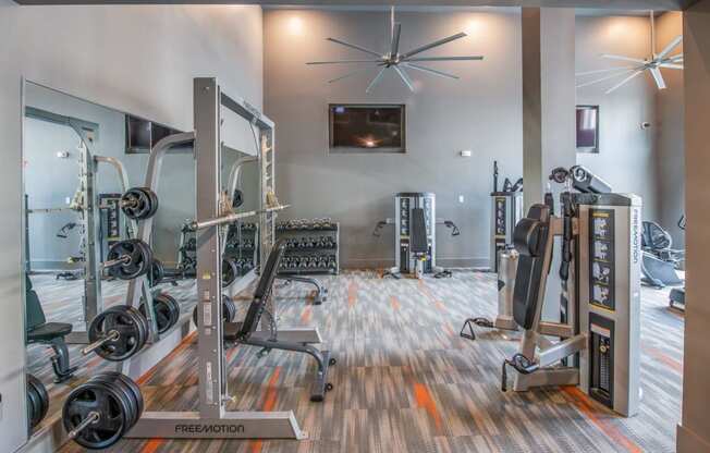 Skyline Trinity Fitness Center with Weights