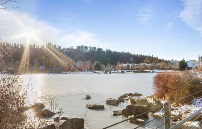 a frozen lake with rocks in the foreground and trees in the background