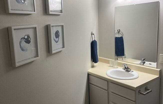 Studio, 1 bath, 270 sqft, $900, Unit 3430-B