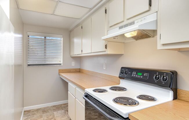 New Renovated Condo