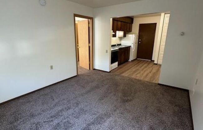 1 bed, 1 bath, $700, Unit 615-30