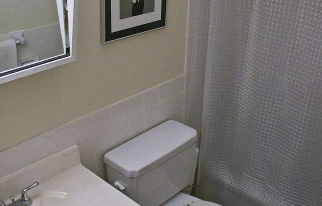1 bed, 1 bath, 550 sqft, $1,100, Unit 212