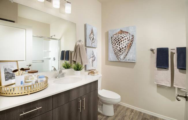 a bathroom with a sink and a toilet and a mirror