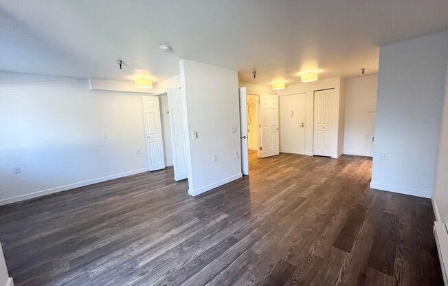 Studio, 1 bath, 480 sqft, $1,495, Unit 421
