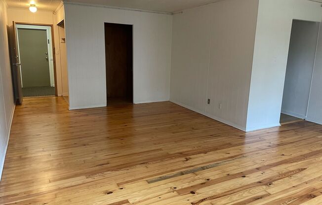 Studio, 1 bath, 487 sqft, $1,250, Unit Fifth 103
