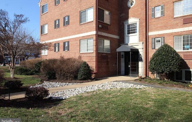 Wonderful studio condo in the heart of Old Town!!