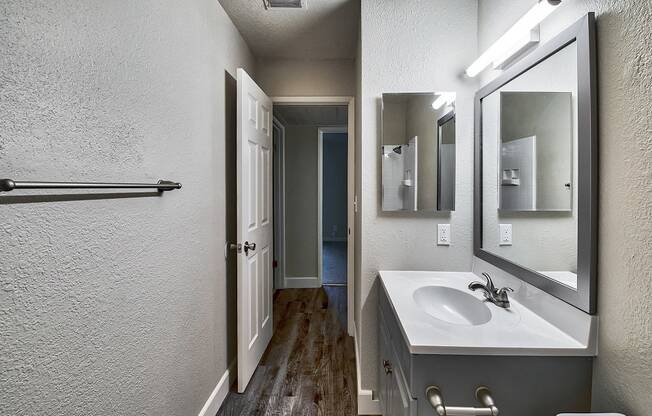 a bathroom with a sink and a mirror