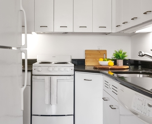 1 bed, 1 bath, 495 sqft, $3,200, Unit 705