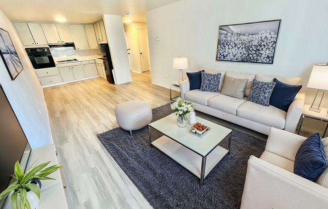 IMG_9222 - Living Room - Modern - 18