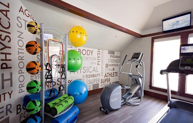 A gym with a treadmill, exercise balls and other equipment.