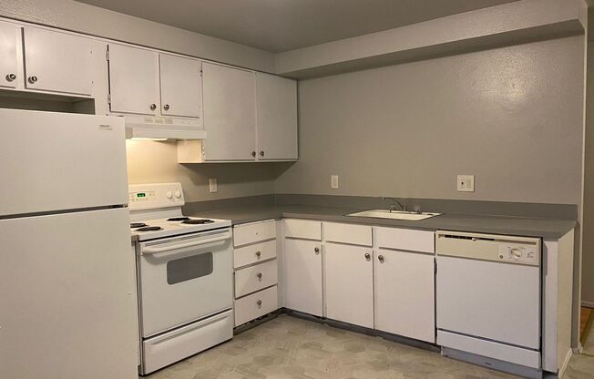 1 bed, 1 bath, 700 sqft, $1,295, Unit 201