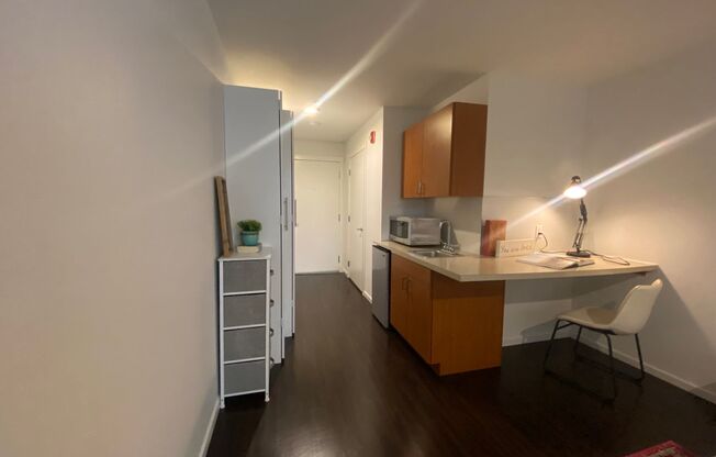Studio, 1 bath, 175 sqft, $1,345, Unit 1203