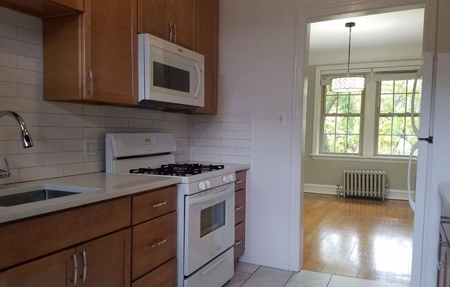 Recently Renovated East Rogers Park One Bedroom - Pets Welcome!