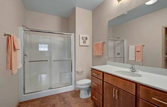 Unit Bathroom at The Vue at Pinnacle Peak Apartment Homes