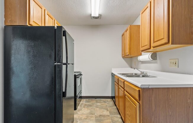 a kitchen with a black refrigerator and a sink