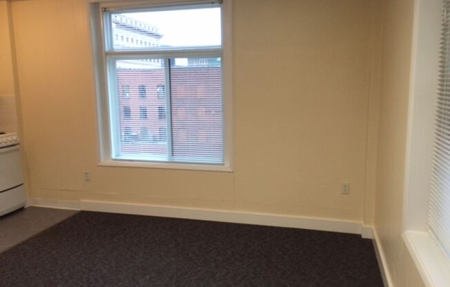 Studio, 1 bath, 329 sqft, $945, Unit 414