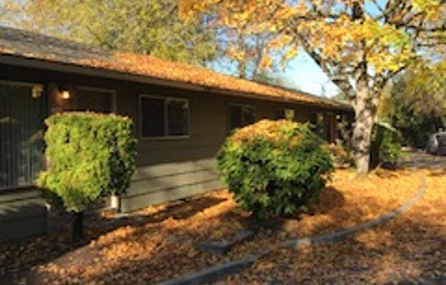 3 beds, 1 bath, 906 sqft, $1,849, Unit 15