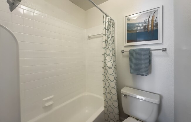 a white bathroom with a shower curtain and a toilet