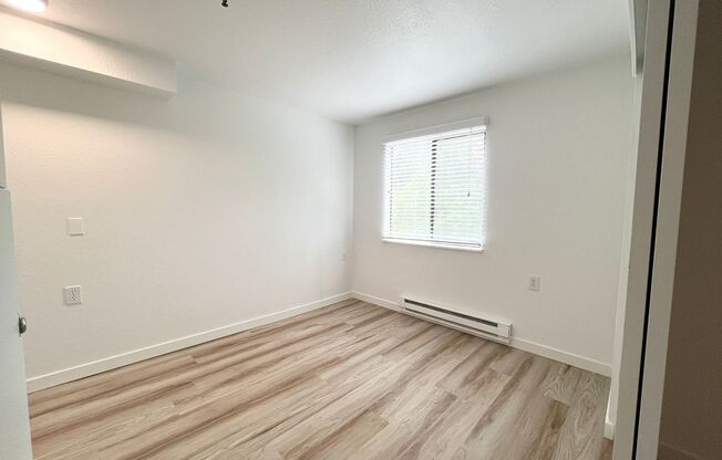 1 bed, 1 bath, 480 sqft, $1,495, Unit 303