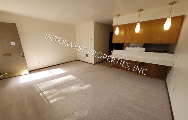 1 bed, 1 bath, 561 sqft, $1,250, Unit 004