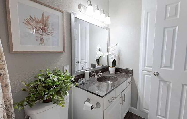 A bathroom with a sink, mirror, and a plant.
