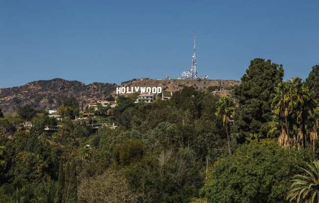 the hollywood sign on the hill above the city