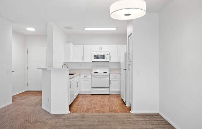 A white kitchen with a brown carpet.