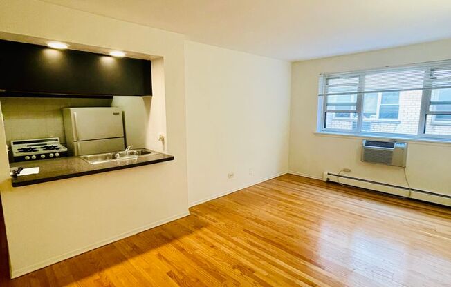 Studio, 1 bath, 450 sqft, $1,425, Unit 535-450