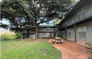 Cedar Apartment