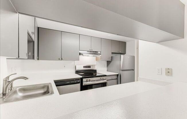 1 bed, 1 bath, 491 sqft, $1,375, Unit 403