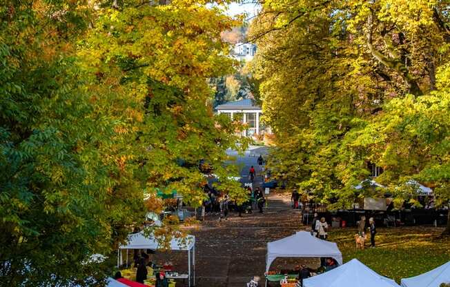 A market is set up in a park with people walking around and buying things.