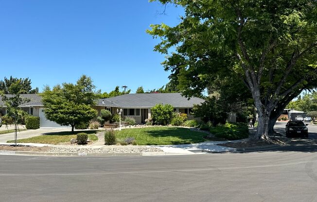 Large 5 bedroom 3 bath Executive Home in the Heart of Willow Glen!