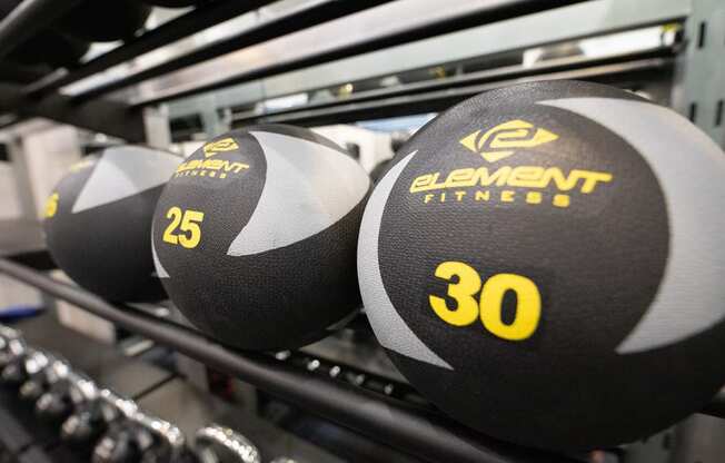 a close up of three dumbbells on a rack at Wynnwood Vinings Atlanta fitness center