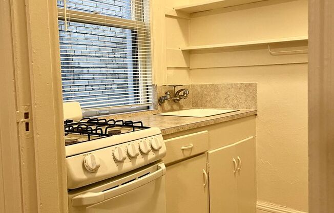 Studio, 1 bath, 350 sqft, $995, Unit 306