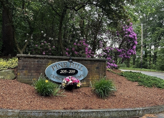 205 GREAT RD