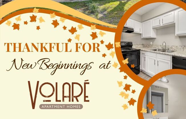 1 bed, 1 bath, 500 sqft, $1,050, Unit 1704