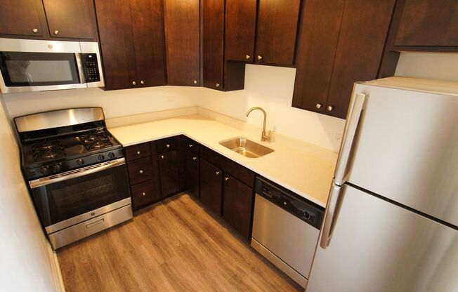 Studio, 1 bath, 523 sqft, $1,695, Unit 401