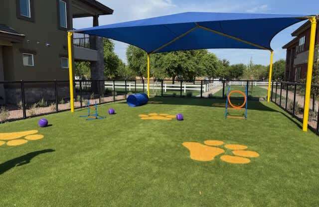 High-End Apartments In Gilbert, AZ - Everly - Pet-Park With Obstacles And Turf Grass