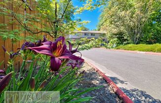 9555 SW HALL BLVD, UNIT 9