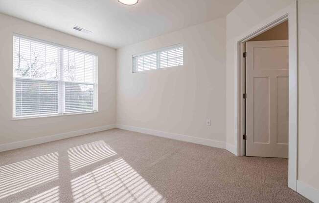 A sunny room with a carpeted floor and a door.
